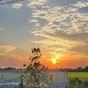 ヒメ日記 2025/06/30 09:54 投稿 あん 西船人妻花壇