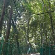 ヒメ日記 2025/06/30 12:06 投稿 あん 西船人妻花壇