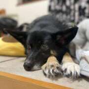 ヒメ日記 2025/07/13 13:49 投稿 あん 西船人妻花壇