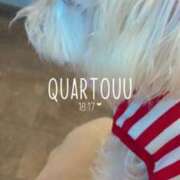 ヒメ日記 2025/07/24 05:09 投稿 あん 西船人妻花壇