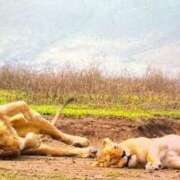 ヒメ日記 2025/08/20 22:31 投稿 あん 西船人妻花壇