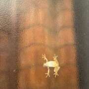 ヒメ日記 2025/09/02 21:34 投稿 あん 西船人妻花壇