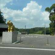 ヒメ日記 2025/09/09 13:53 投稿 あん 西船人妻花壇