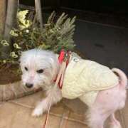 ヒメ日記 2025/10/21 22:58 投稿 あん 西船人妻花壇