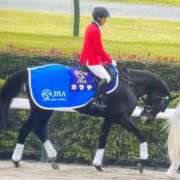 ヒメ日記 2025/11/09 19:27 投稿 あん 西船人妻花壇