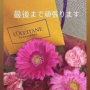 ヒメ日記 2025/11/19 00:22 投稿 あん 西船人妻花壇