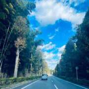 ヒメ日記 2025/11/23 14:21 投稿 あん 西船人妻花壇