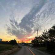 ヒメ日記 2025/11/23 20:58 投稿 あん 西船人妻花壇