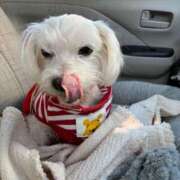 ヒメ日記 2025/11/27 13:34 投稿 あん 西船人妻花壇