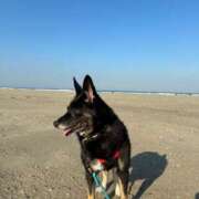 ヒメ日記 2025/12/03 15:35 投稿 あん 西船人妻花壇