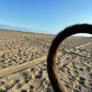 ヒメ日記 2025/12/10 13:10 投稿 あん 西船人妻花壇