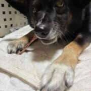 ヒメ日記 2025/12/21 02:22 投稿 あん 西船人妻花壇