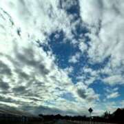 ヒメ日記 2025/12/30 03:48 投稿 あん 西船人妻花壇