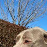 ヒメ日記 2026/01/13 14:18 投稿 あん 西船人妻花壇