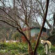 あん 雪が… 西船人妻花壇