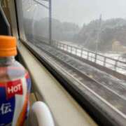 あん 降ってなーい！！ 西船人妻花壇