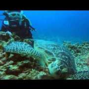 あん しばらく休憩しますʕ•ᴥ•ʔ 西船人妻花壇