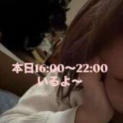 ヒメ日記 2026/03/18 15:08 投稿 あん 西船人妻花壇