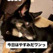 ヒメ日記 2026/03/27 09:13 投稿 あん 西船人妻花壇