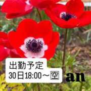 ヒメ日記 2026/03/28 14:58 投稿 あん 西船人妻花壇
