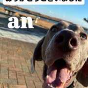 ヒメ日記 2026/03/31 02:25 投稿 あん 西船人妻花壇