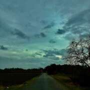 ヒメ日記 2026/04/04 23:48 投稿 あん 西船人妻花壇