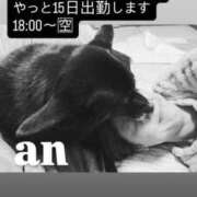 ヒメ日記 2026/04/14 01:38 投稿 あん 西船人妻花壇