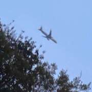 ヒメ日記 2026/04/15 12:00 投稿 あん 西船人妻花壇