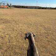 ヒメ日記 2026/04/20 09:32 投稿 あん 西船人妻花壇