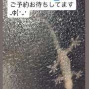 ヒメ日記 2026/05/07 10:19 投稿 あん 西船人妻花壇