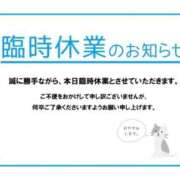ヒメ日記 2026/06/08 15:13 投稿 あん 西船人妻花壇