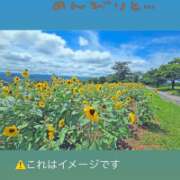 ヒメ日記 2026/08/01 17:02 投稿 あん 西船人妻花壇