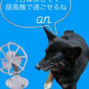 ヒメ日記 2026/08/03 16:36 投稿 あん 西船人妻花壇