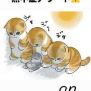 ヒメ日記 2026/08/07 12:46 投稿 あん 西船人妻花壇