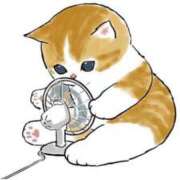 ヒメ日記 2026/08/09 14:33 投稿 あん 西船人妻花壇