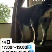 ヒメ日記 2026/08/13 20:46 投稿 あん 西船人妻花壇