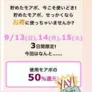 ヒメ日記 2026/09/05 12:04 投稿 あん 西船人妻花壇