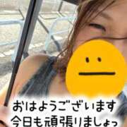 ヒメ日記 2026/09/15 12:46 投稿 あん 西船人妻花壇