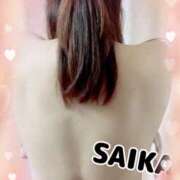 さいか 急ですが！！！ 奥鉄オクテツ大阪