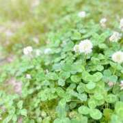 ヒメ日記 2025/05/16 07:43 投稿 黒木 レイ CASA BIANCA（カーサ・ビアンカ）