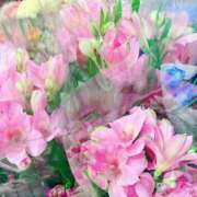 ヒメ日記 2025/06/29 07:42 投稿 黒木 レイ CASA BIANCA（カーサ・ビアンカ）