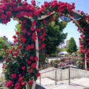 ヒメ日記 2025/05/13 16:34 投稿 かずき 熟女＆人妻＆ぽっちゃり倶楽部