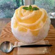 ヒメ日記 2025/07/13 13:20 投稿 かずき 熟女＆人妻＆ぽっちゃり倶楽部