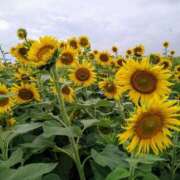 ヒメ日記 2025/08/13 10:00 投稿 かずき 熟女＆人妻＆ぽっちゃり倶楽部