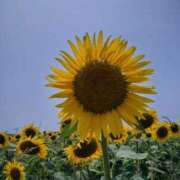 ヒメ日記 2025/08/22 09:34 投稿 かずき 熟女＆人妻＆ぽっちゃり倶楽部