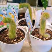 ヒメ日記 2025/12/07 19:40 投稿 かずき 熟女＆人妻＆ぽっちゃり倶楽部