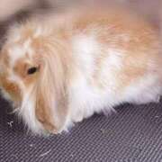 れな ☀️ 舐めたくてグループ〜ペロンチョ学園〜八王子校