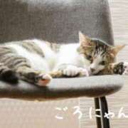 ヒメ日記 2025/05/16 17:07 投稿 あみ あとりえ(ATELIER)