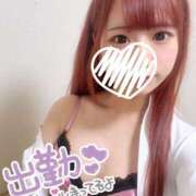 ヒメ日記 2025/07/30 08:44 投稿 なつめ ZERO