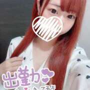 ヒメ日記 2025/08/01 09:06 投稿 なつめ ZERO